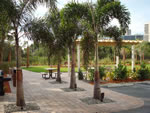 Naples Cay Park  - Entrance