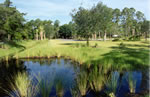 Corkscrew Swamp Audubon Sancuary - Landscaping