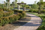 The Palmery At TwinEagles - Pathway