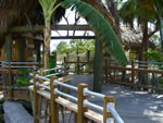 Naples Botanical Garden -  Childrens Garden Treehouse